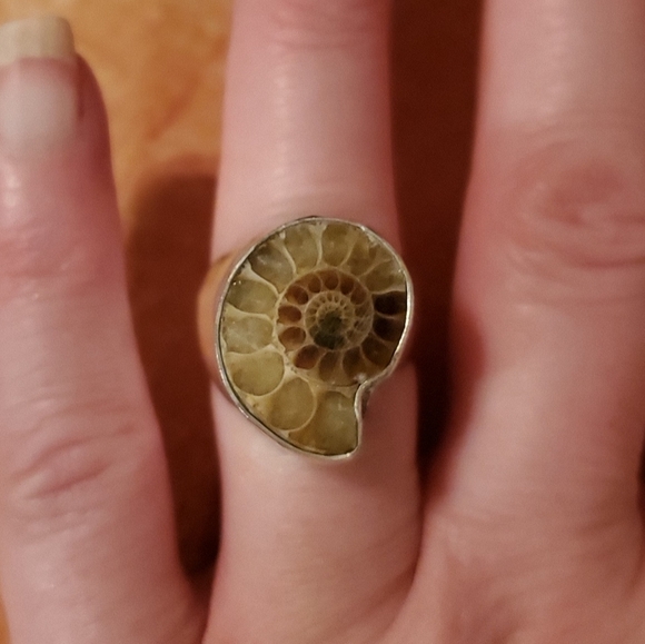 New Men's Ammolite 925 Silver Ring. - Picture 8 of 8